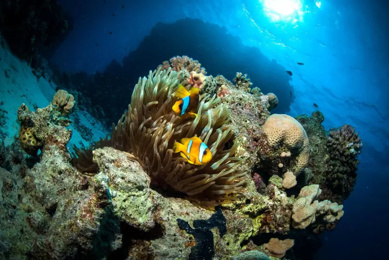 Croisière Best of Tiran /  Nord de l'Egypte Visuel 3