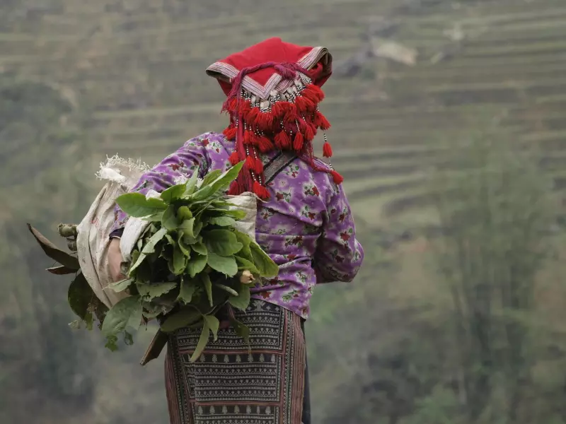 Du Nord au Centre du Vietnam Visuel 3