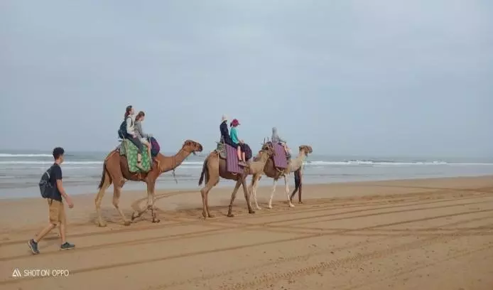Randonnée sur la côte atlantique Visuel 2
