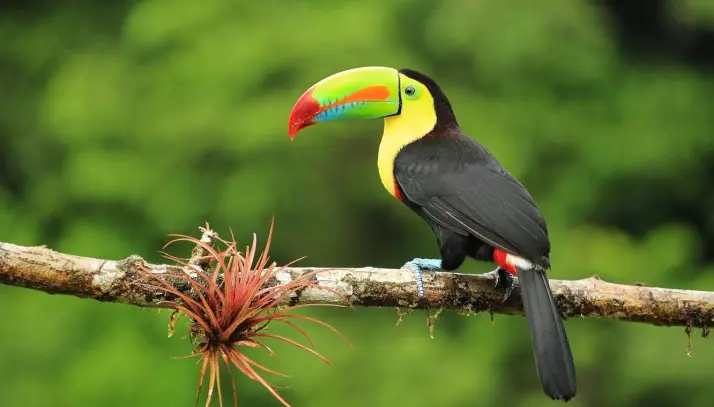 Voyage en Amérique Latine, une bouffée d'air frais visuel