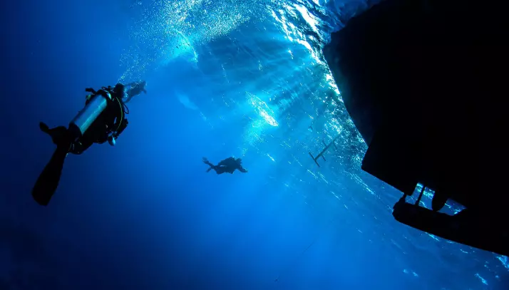 Découverte des fonds marins visuel