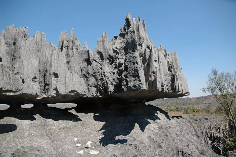 Fleuve Manambolo et Tsingys de Bemaraha Visuel 1