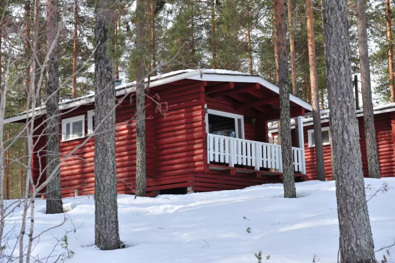 La Finlande : grandeur nature ! Visuel 5