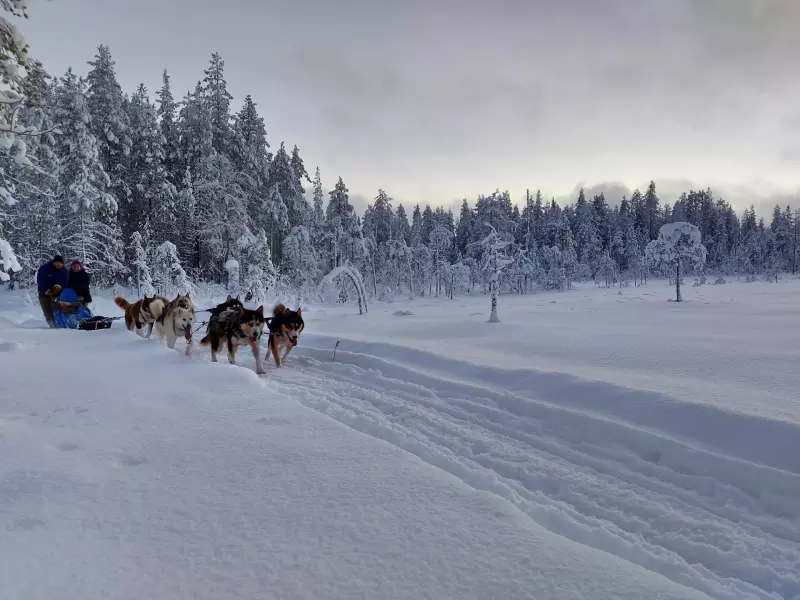 La Finlande : grandeur nature ! Visuel 6