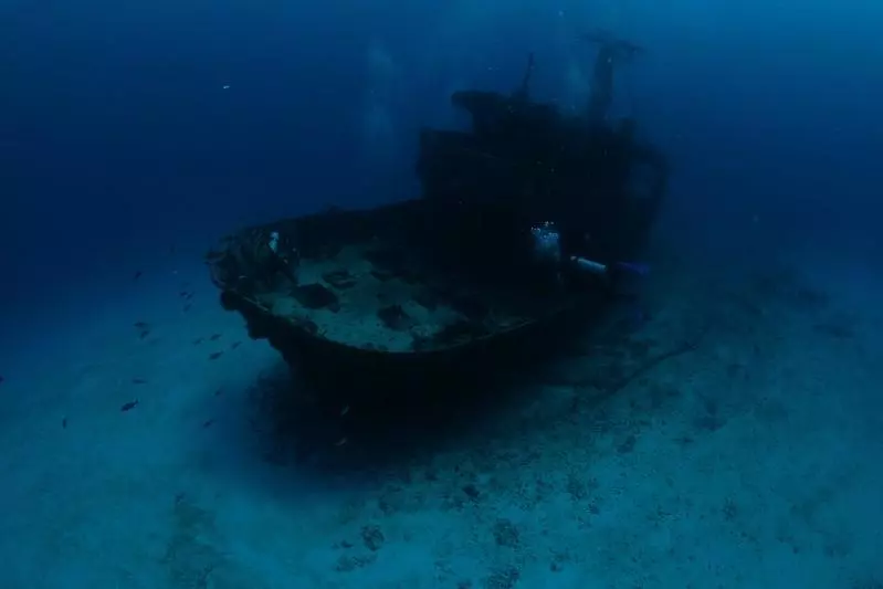 Mer des Caraïbes & Cenotes Sacrés Visuel 5