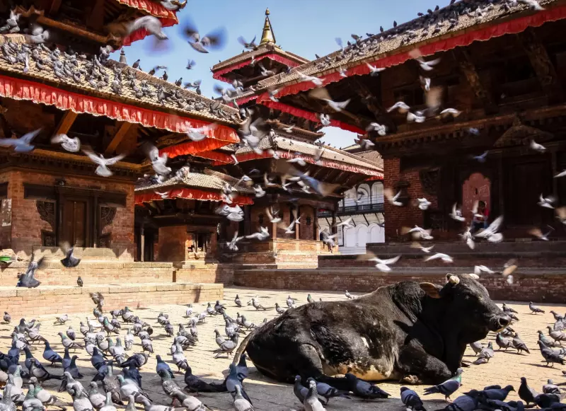 Richesses culturelles et spirituelles du Népal Visuel 3