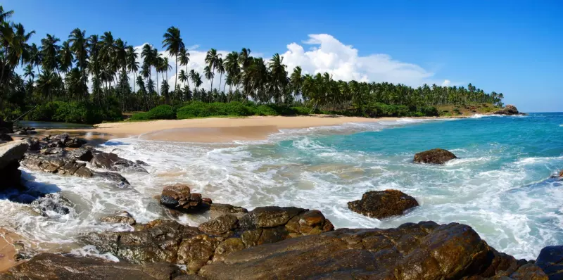 Sri Lanka entre récifs et épices (15 Plongées) Visuel 3
