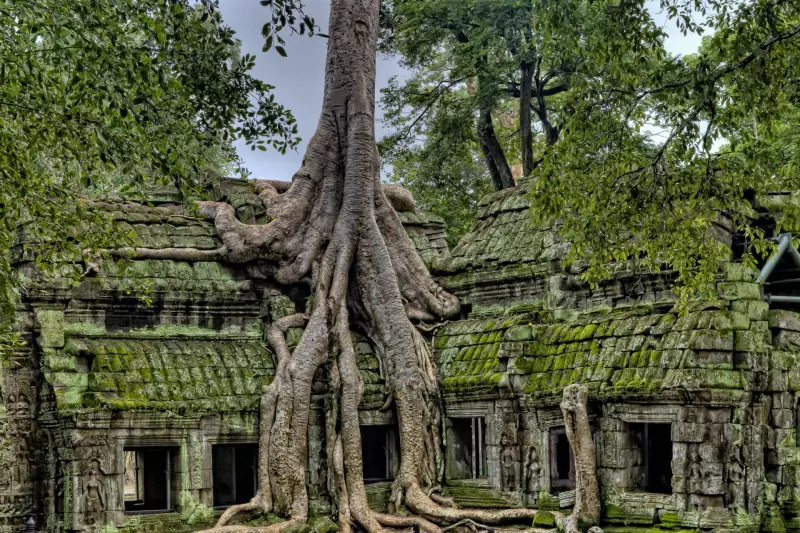 Angkor, la cité des Dieux Visuel 6
