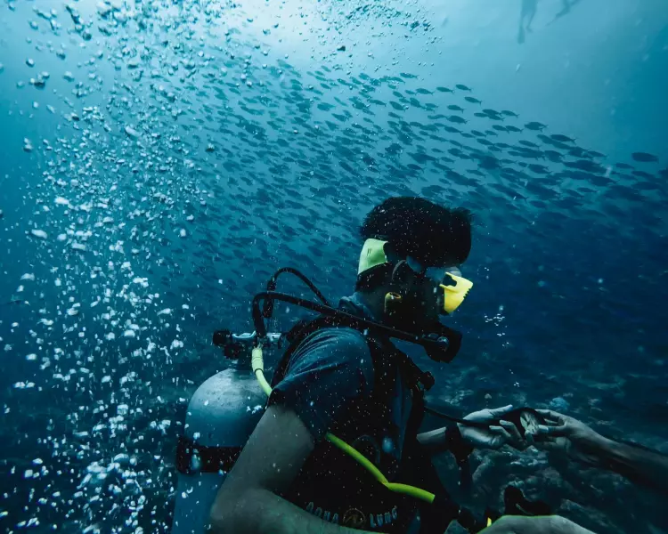 Voyage plongée Puerto Galera Visuel 2