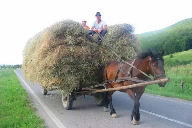 Entre Valachie et Transylvanie Visuel 6