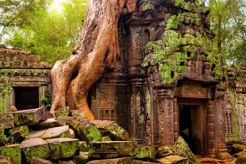 Angkor, la cité des Dieux Visuel 3