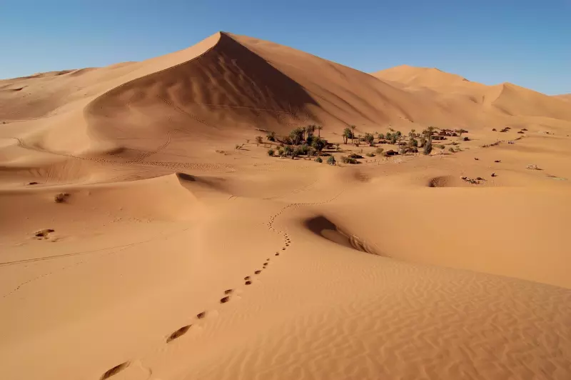 Trek dans les dunes de Chegaga Visuel 6