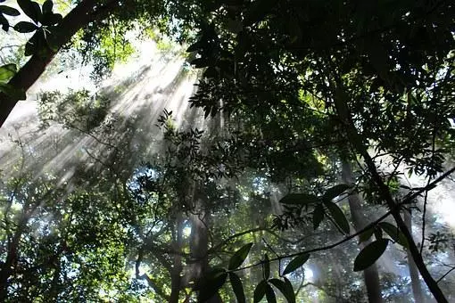 Autotour des Caraïbes au Pacifiques Visuel 6