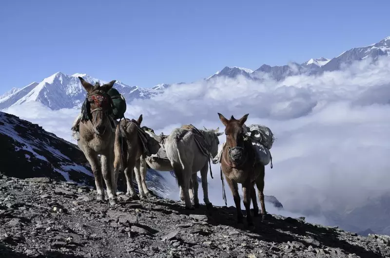 Trek et yoga sur le massif des Annapurnas Visuel 4