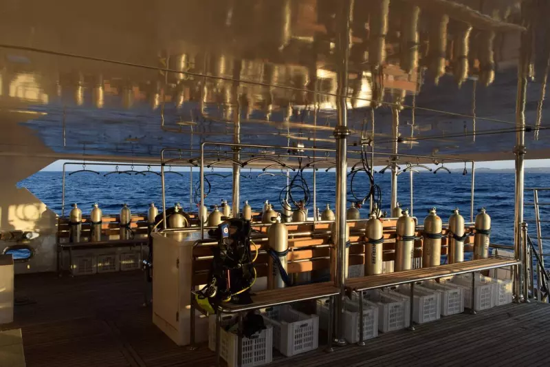 Croisière Best of Epaves : Légendes englouties et jardins coraliens Visuel 5