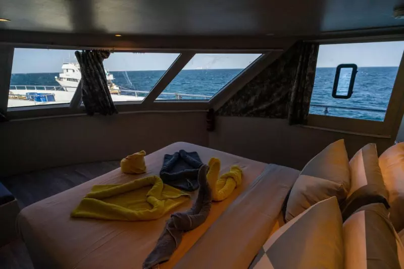 Croisière Best of Epaves : Légendes englouties et jardins coraliens Visuel 6