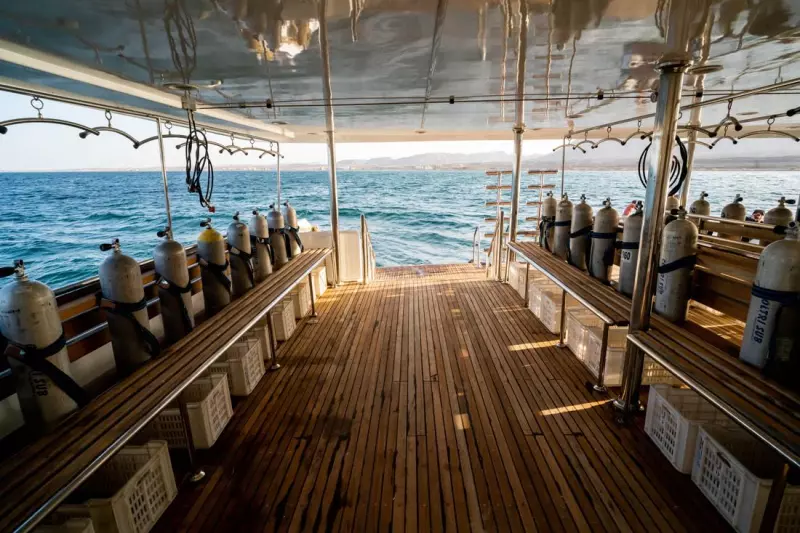 Croisière Le Grand Sud égyptien : Rocky, Zabargad, St John's et Elphinstone Visuel 3