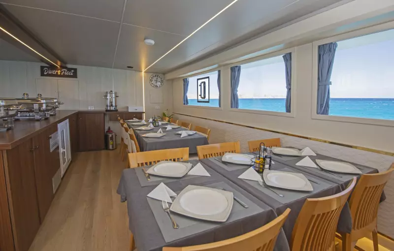 Croisière à  la découverte des îles du sud : Deadalus, Rocky, Zabargad, Elphinstone Visuel 3