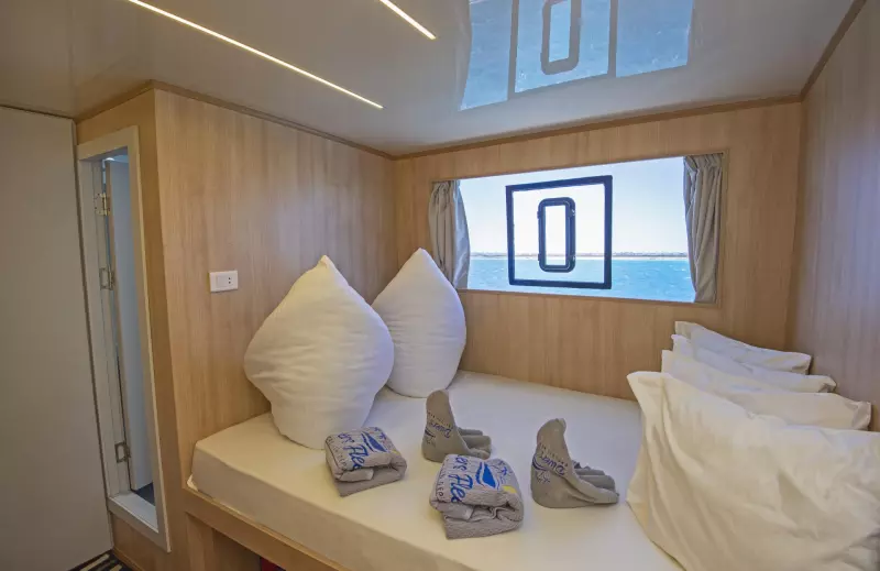 Croisière Premium : Plongée en Mer Rouge égyptienne Visuel 5
