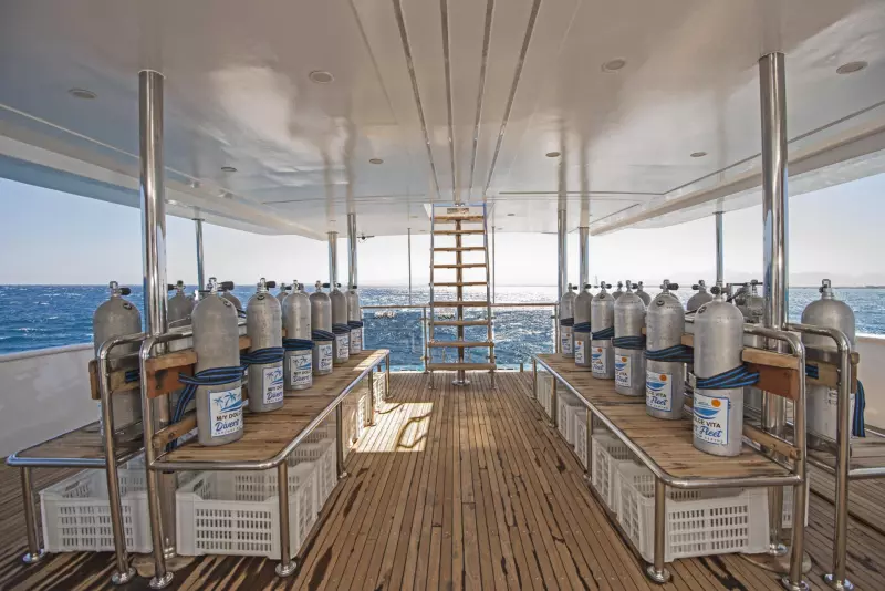 Croisière à  la découverte des îles du sud : Deadalus, Rocky, Zabargad, Elphinstone Visuel 8