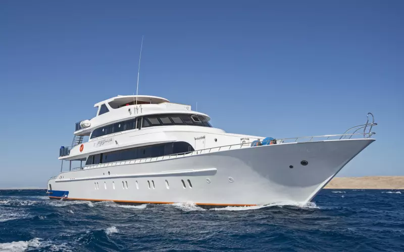 Croisière Fury Shoal : la découverte accessible des trésors sous-marins égyptiens Visuel 2
