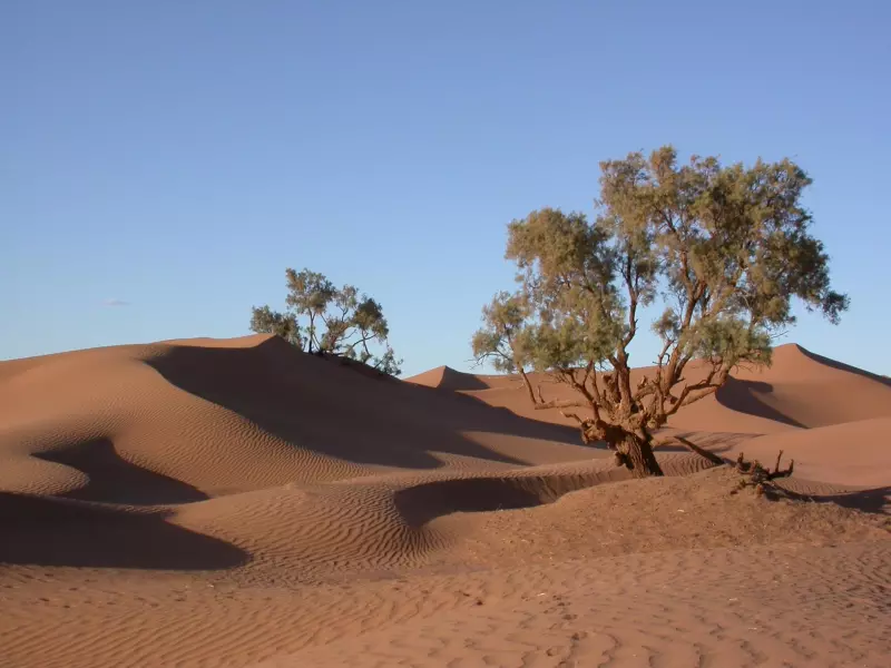 Ressourcement et bien être dans le désert marocain Visuel 3