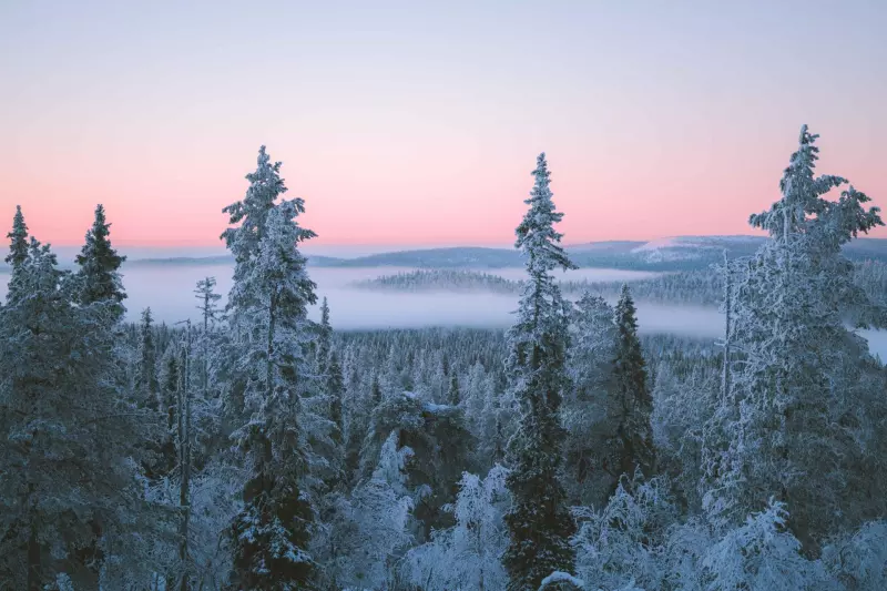 La Finlande : grandeur nature ! Visuel 7
