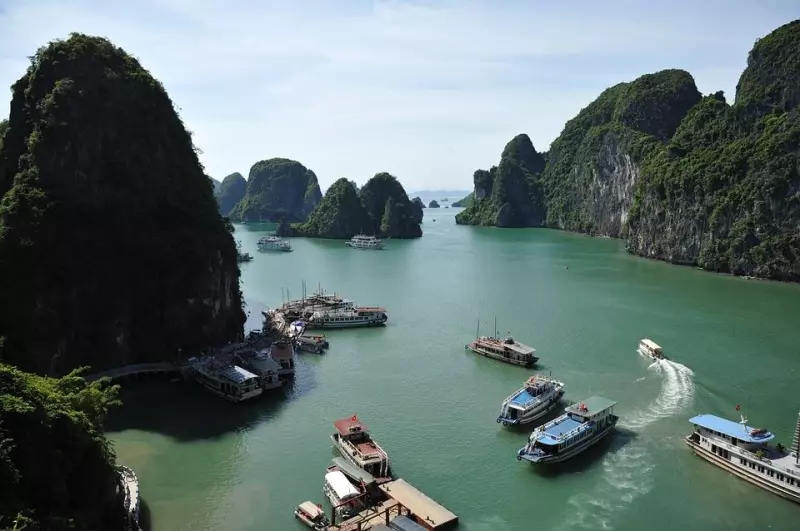 Immersion au pays du Dragon Visuel 5