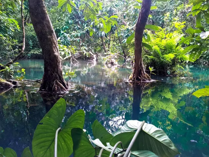 Voyage écoresponsable au Laos Visuel 4