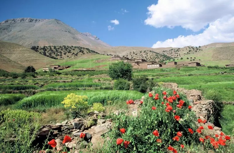 Entre villes impériales et trésors marocains Visuel 10