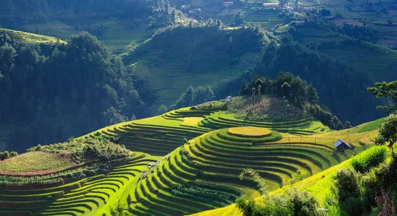 Couleurs et saveurs d’Indochine Visuel 4