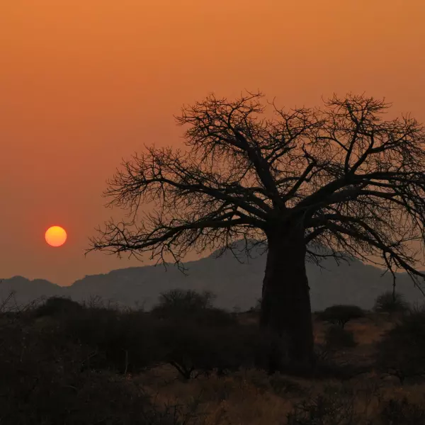 Voyage entre femmes en Afrique du Sud Visuel 6