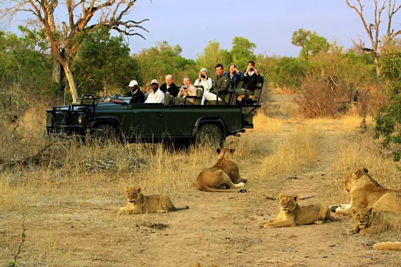 Voyage entre femmes en Afrique du Sud Visuel 3